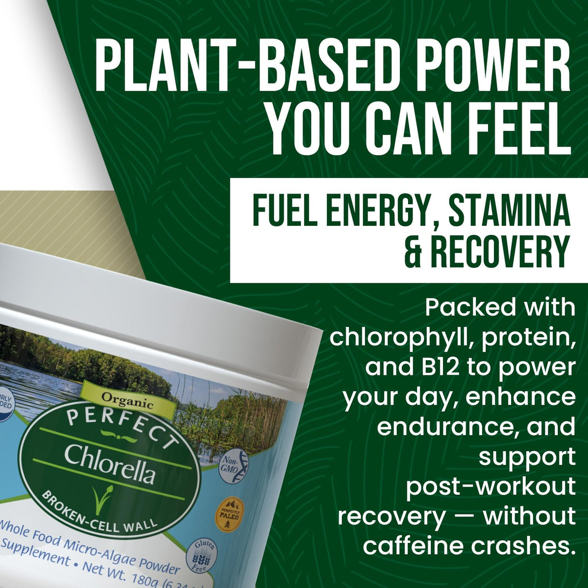 Perfect Supplements Chlorella Powder - 180g - image 3