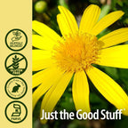 Nature's Answer Elecampane Root Liquid Extract - 1 Fl Oz - image 5