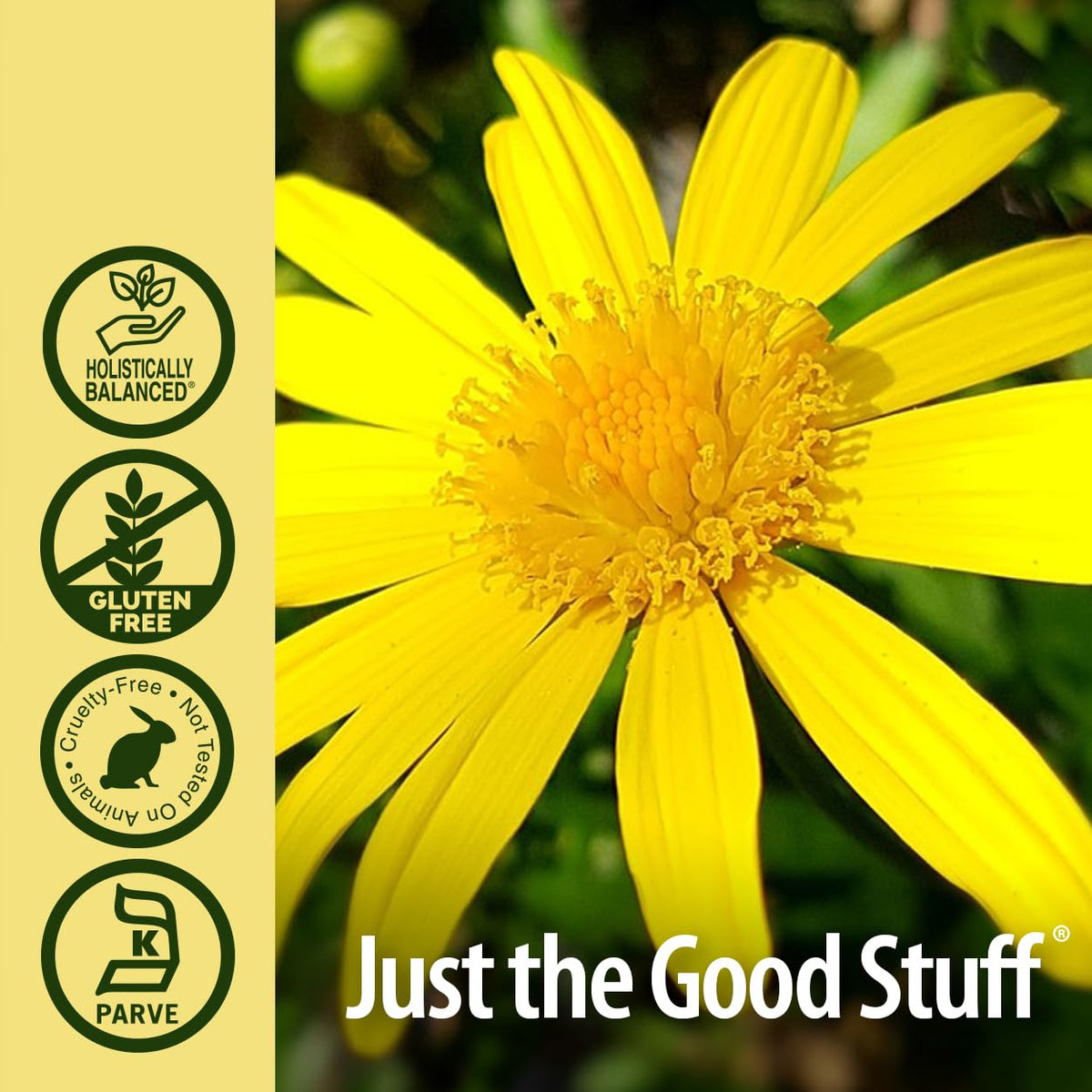 Nature's Answer Elecampane Root Liquid Extract - 1 Fl Oz - image 5