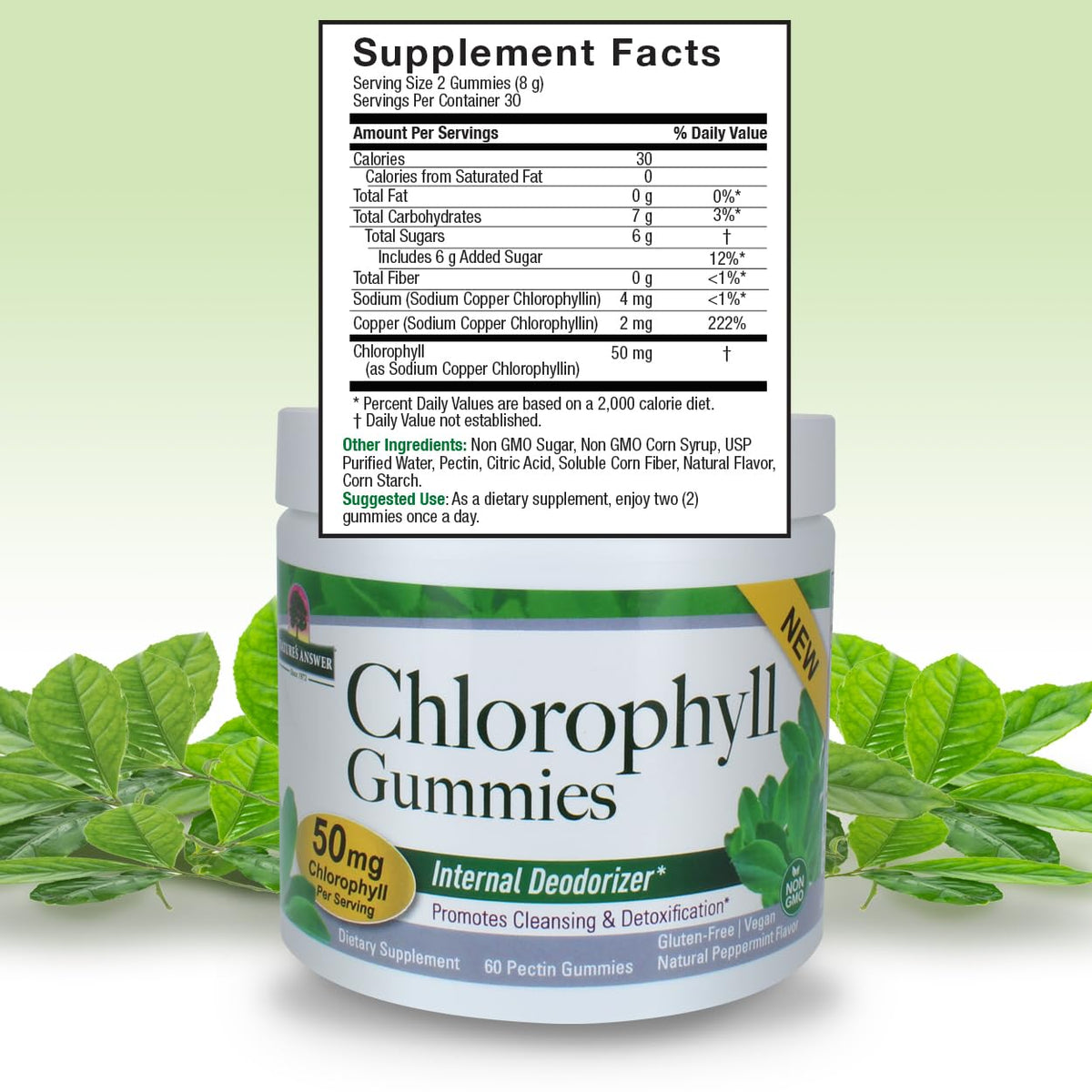 Nature's Answer Chlorophyll Gummies - 60 Count - image 3