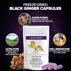 Addictive Wellness Black Ginger Capsules Energy Support - 500 Count - image 3