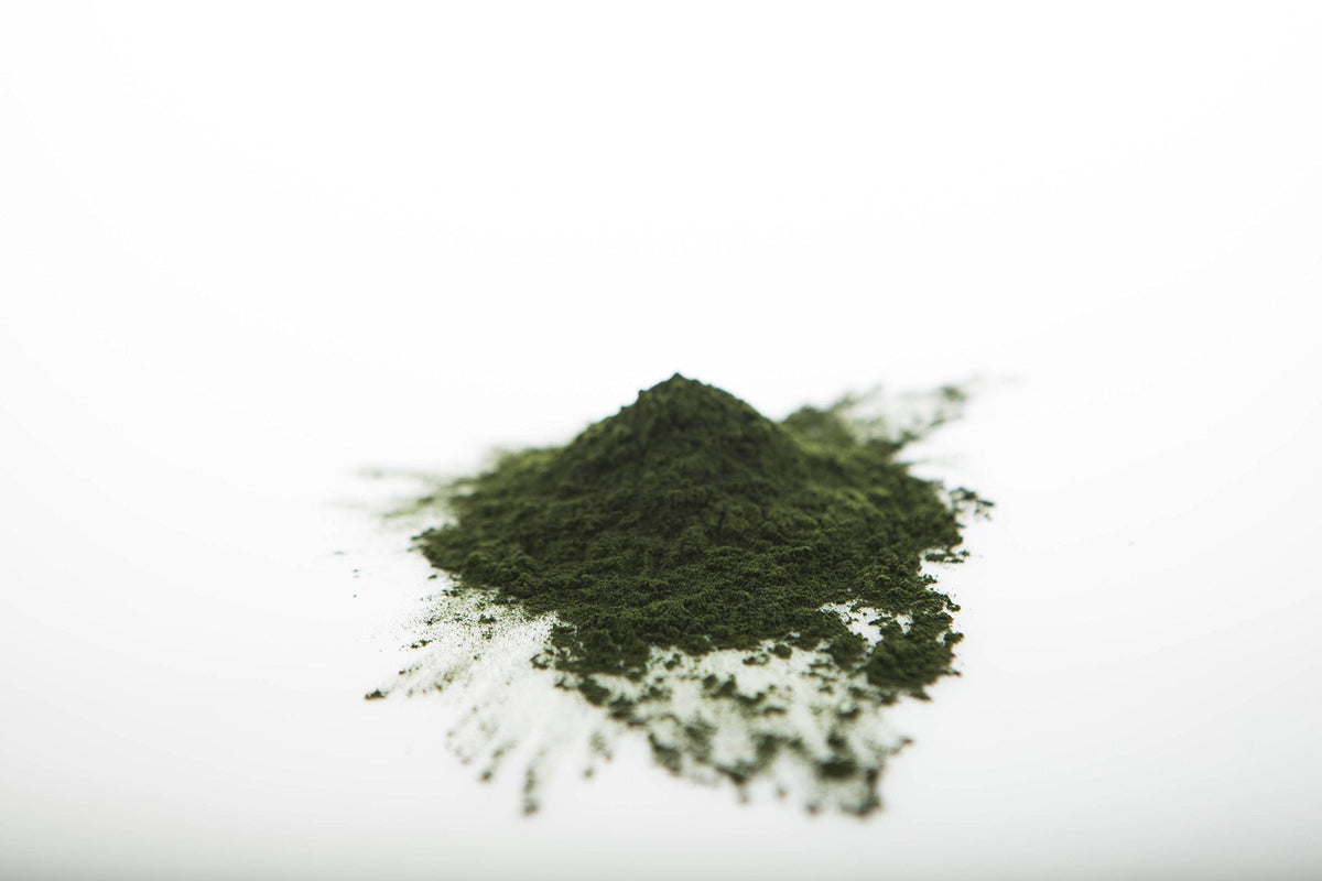 Sun Potion Chlorella Powder - 111g - image 6