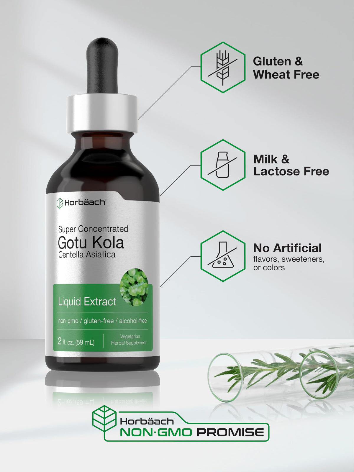 Horbäach Gotu Kola Extract Liquid - 2 fl oz - image 5