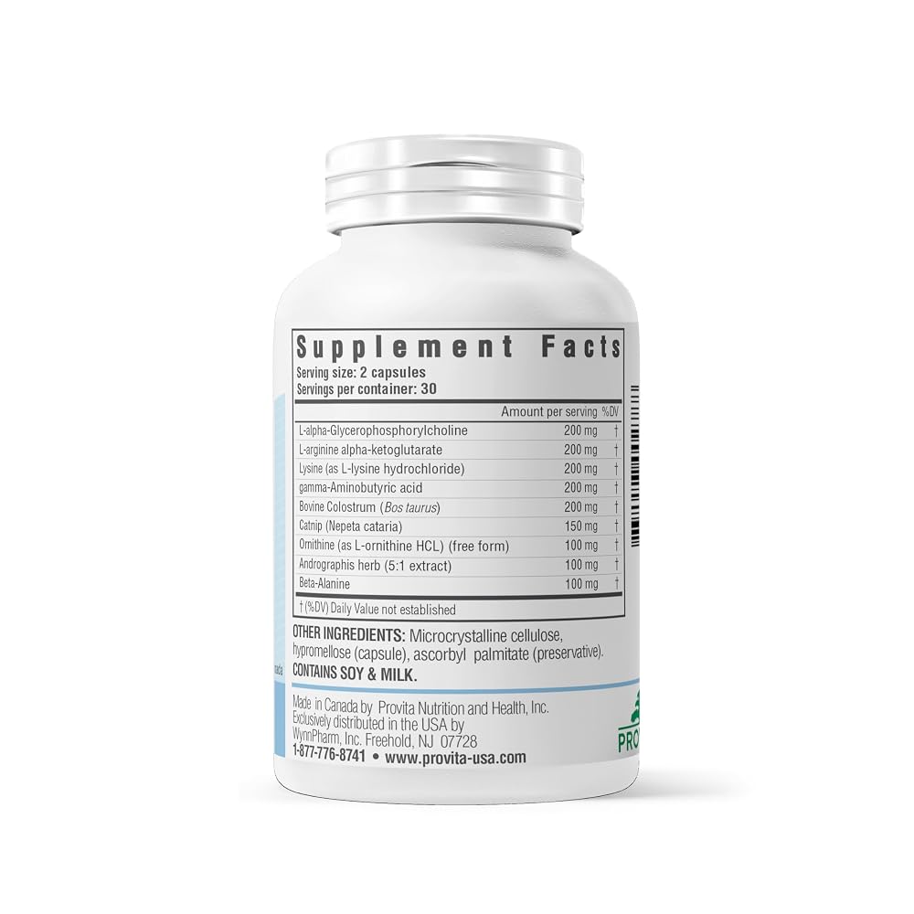 PROVITA Activine Muscle Support & Protein Synthesis - 60 Vegetarian Capsules - image 6