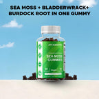 Vitamatic Sea Moss Gummies with Bladderwrack & Burdock - 60 Gummies - image 6