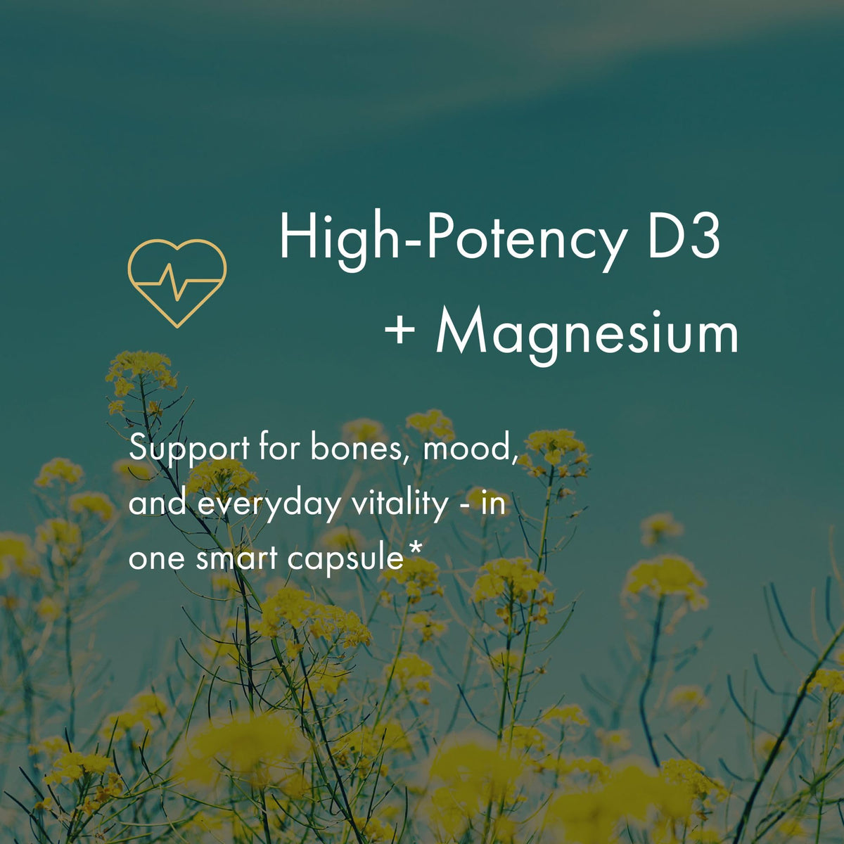 NAOMI Vitamin D3 5000 IU + Magnesium 250mg - 60 Capsules - image 3