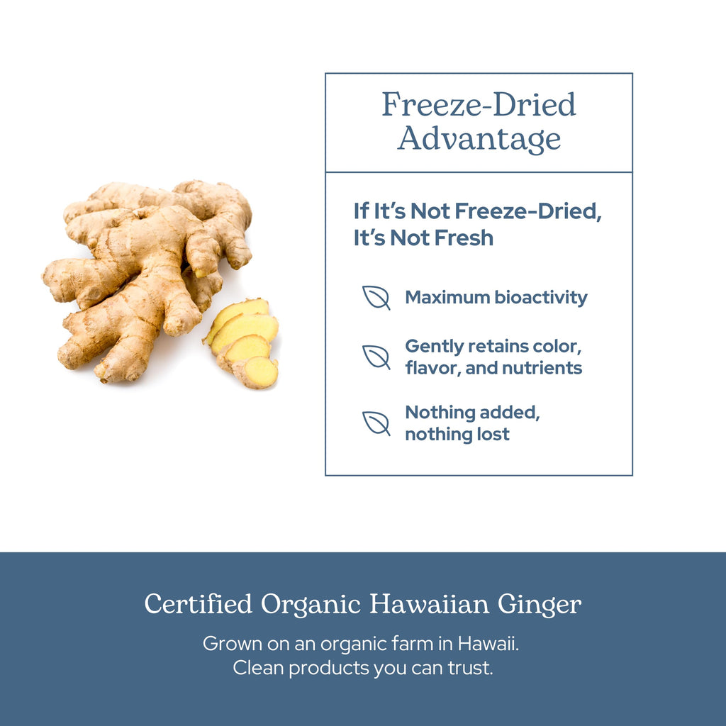Eclectic Institute Organic Ginger Capsules - 90 Count - image 5