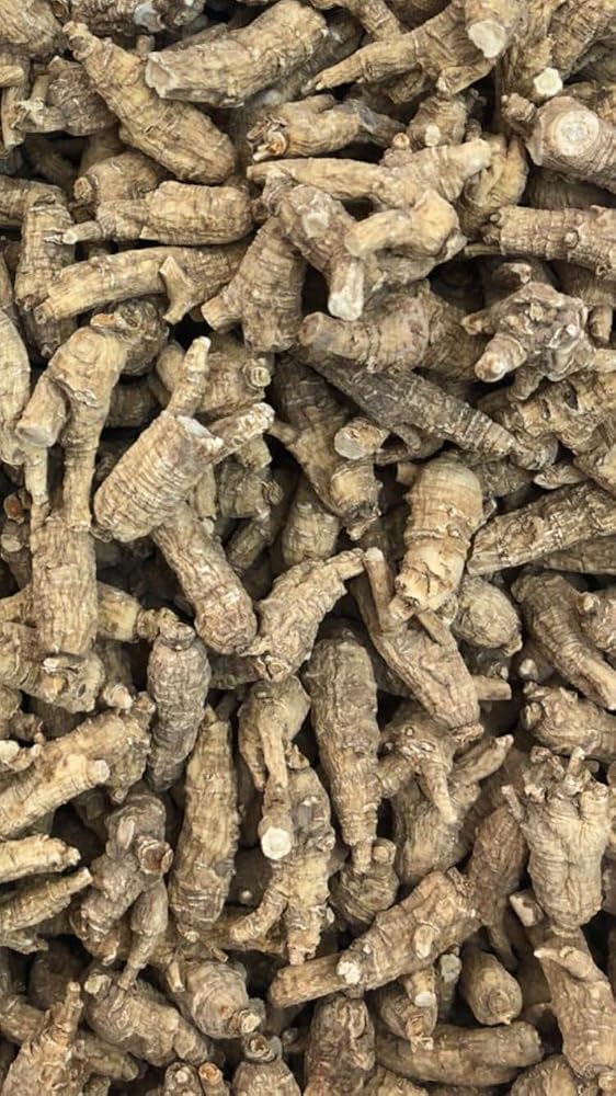 Xi Ge Ge Wisconsin Wild Ginseng Root - 4 oz - image 6