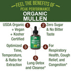 Peak Performance Mullein Leaf Drops for Respiratory Support - 2 Fl Oz - image 2