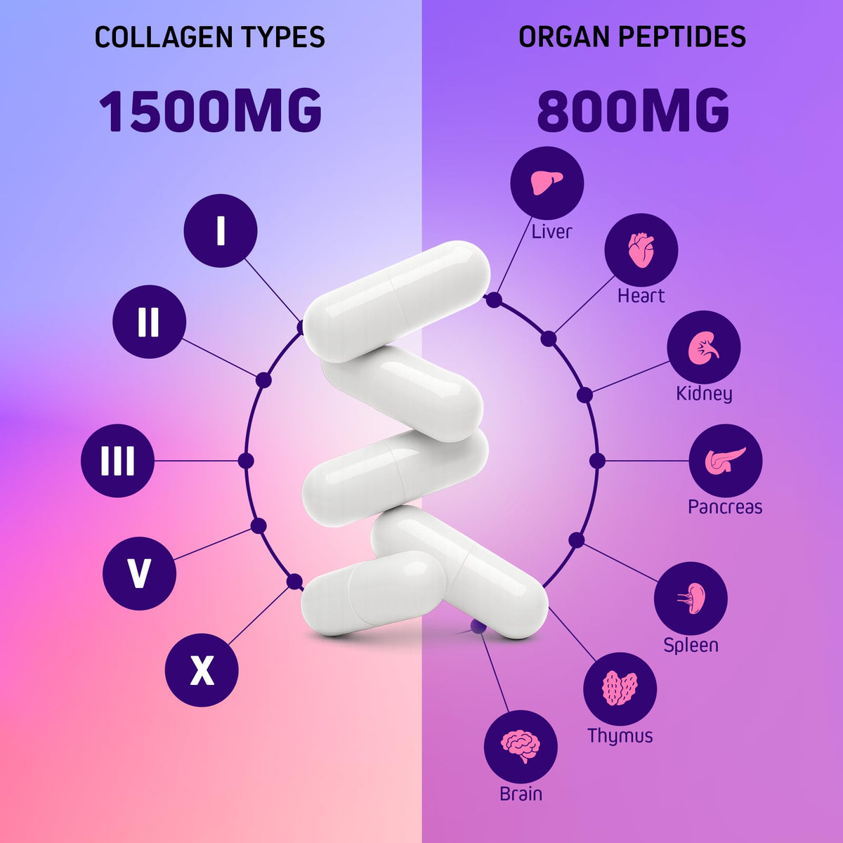 Herbtonics Multi Collagen Peptides & Beef Organ Complex - 90 Capsules - image 6