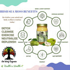 GET WAVY ORGANICS Irish Sea Moss Gel with Soursop - 32 oz - image 2