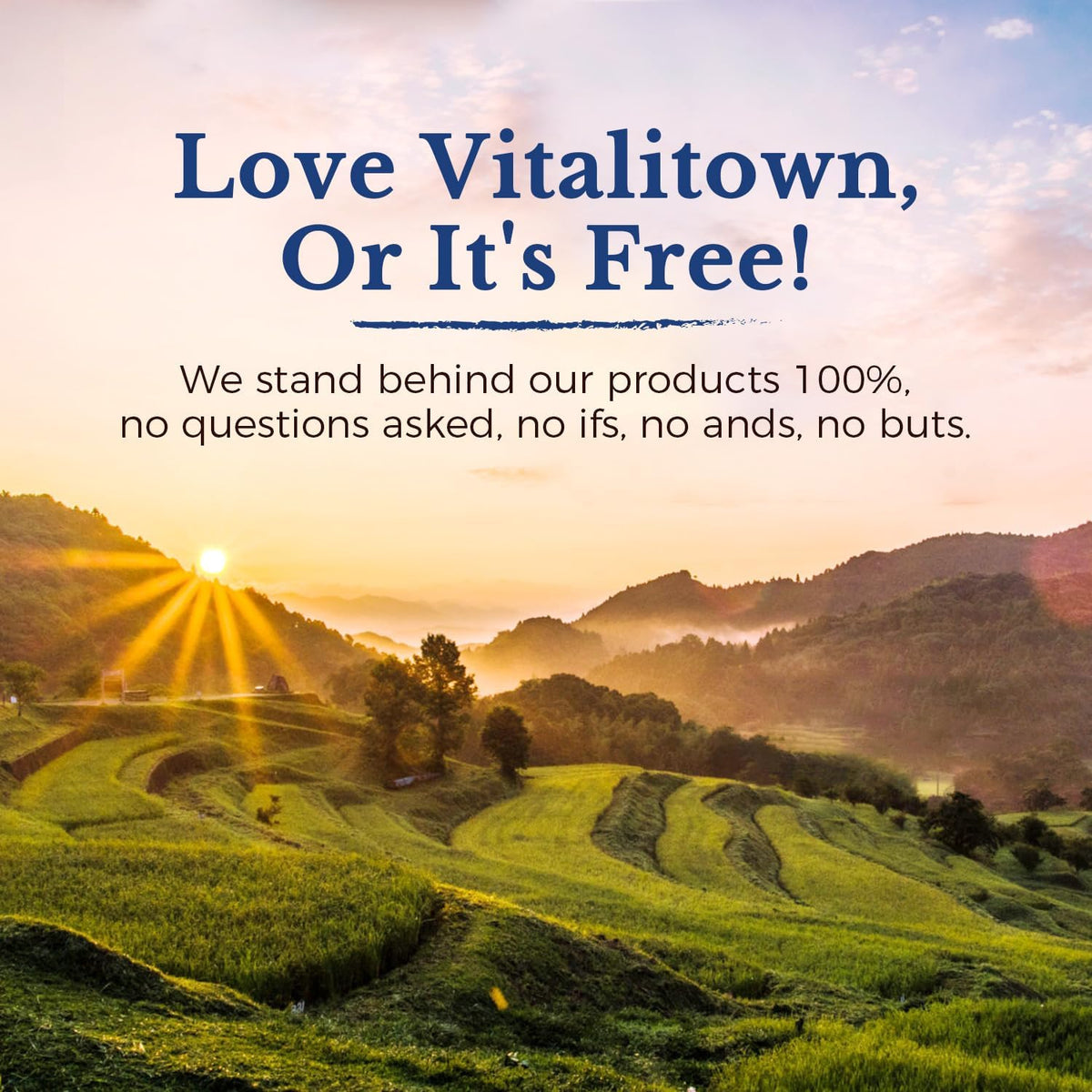Vitalitown Probiotics 200 Billion CFUs 36 Strains - 60 Capsules - image 9