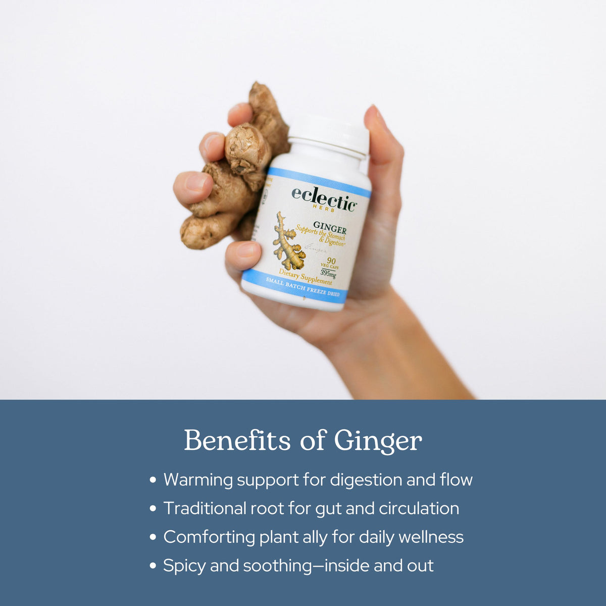 Eclectic Ginger 395 Mg Cog Fduv