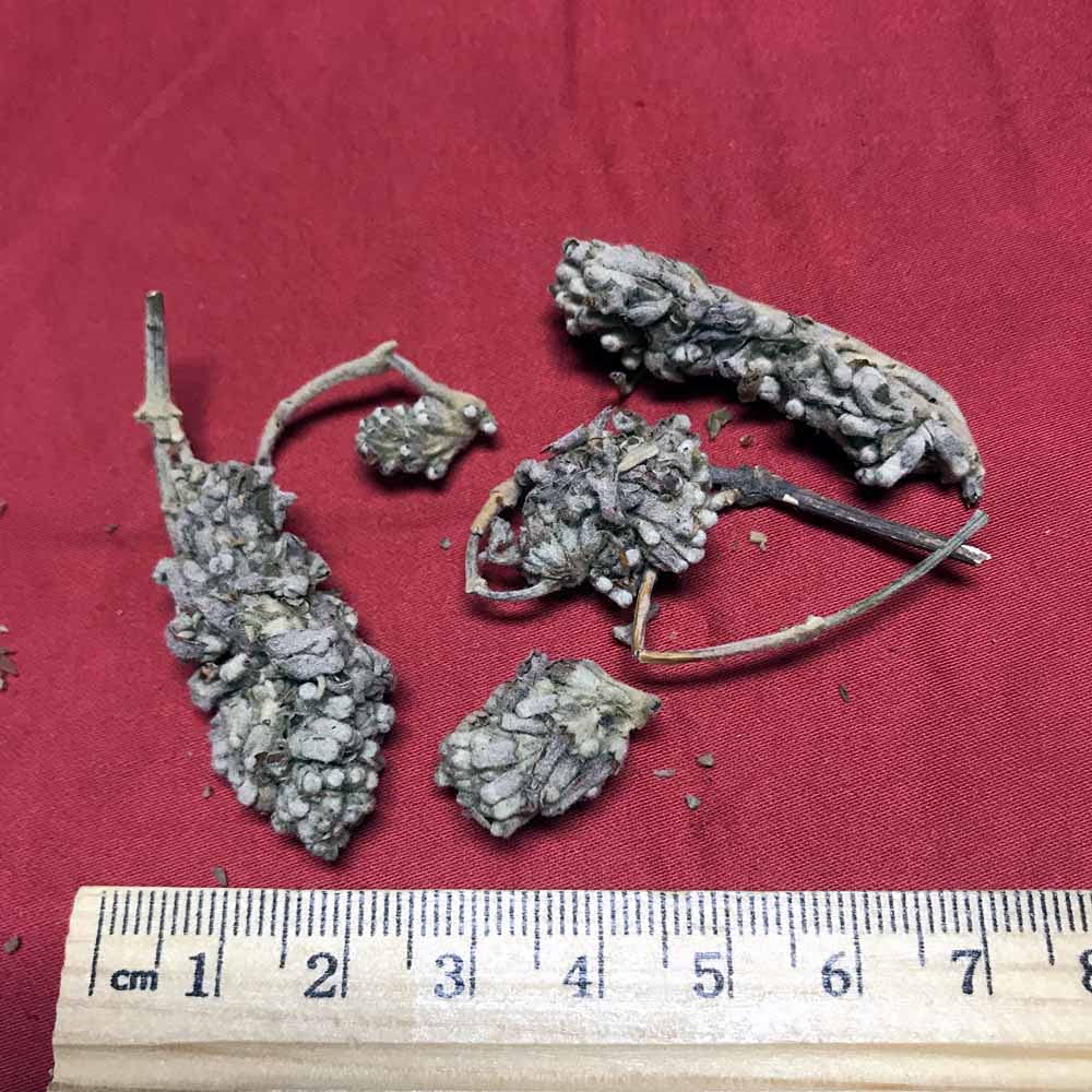 Xi Yao Peng Mimenghua Dried Flowers - 100g