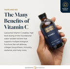 Quicksilver Scientific Liposomal Vitamin C - 4 oz / 120 ml - image 3