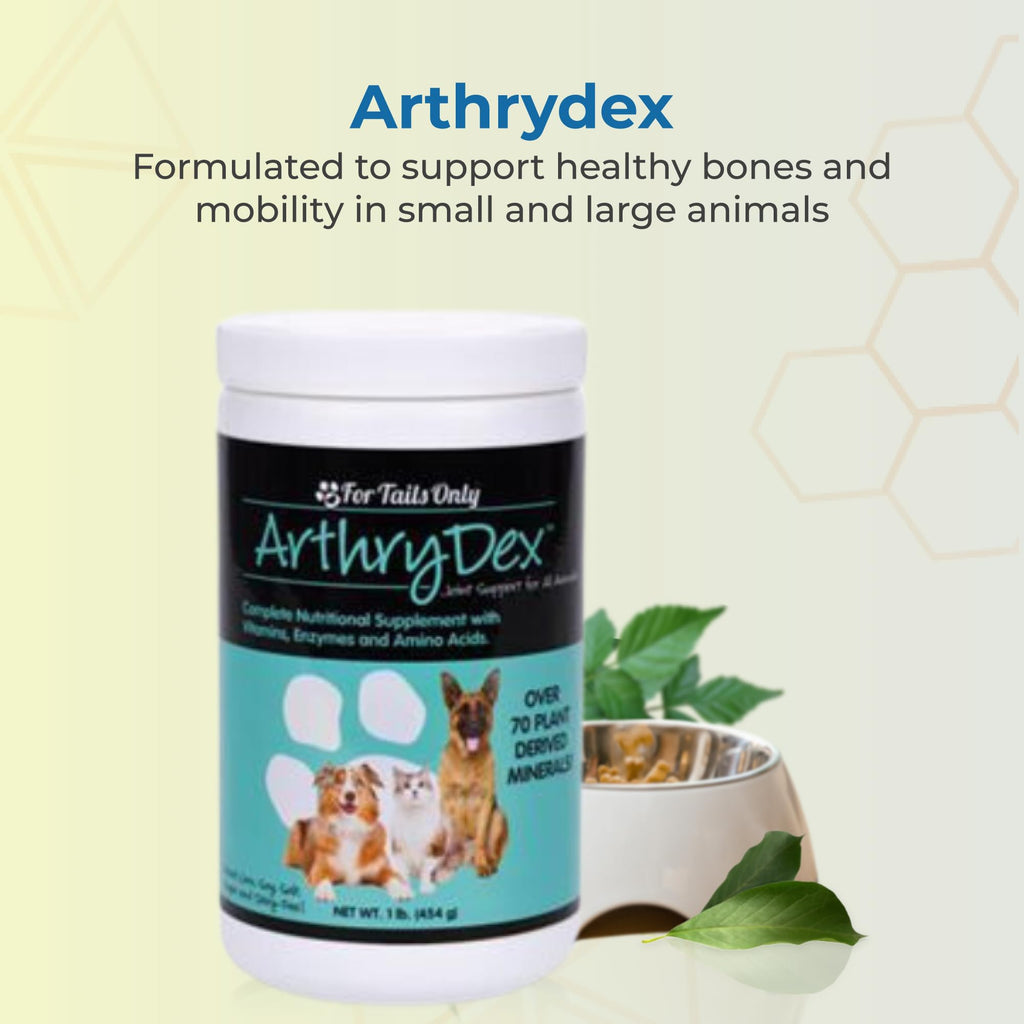 YNG ArthryDex Multivitamin Joint Support for Pets - 1 LB - image 2