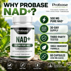 Probase Nutrition NAD Supplement 500mg - 60 Capsules - image 2