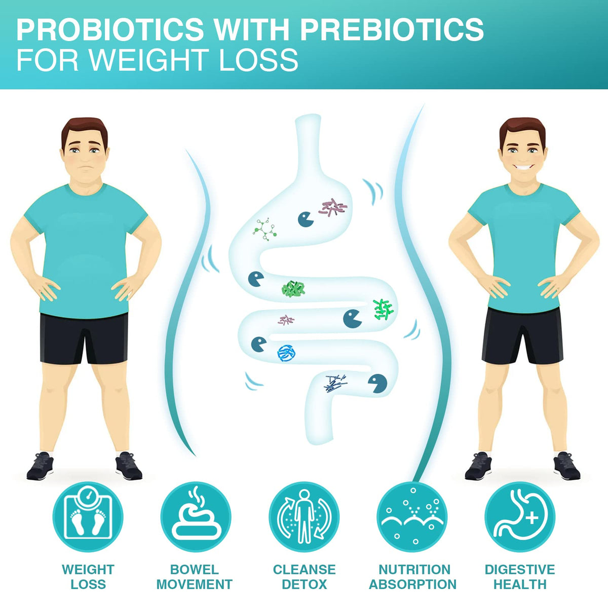 NATURE TARGET Probiotics for Men 60 Billion CFU - 90 Vegetarian Capsules - image 4
