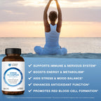 Vitamin World Stress Vitamin B Complex with Vitamin C - 120 Caplets - image 5