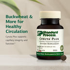 Standard Process Cyruta Plus Circulation Support - 90 Tablets - image 3