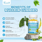 Vazatisi Sugar Free Mullein Gummies with Quercetin