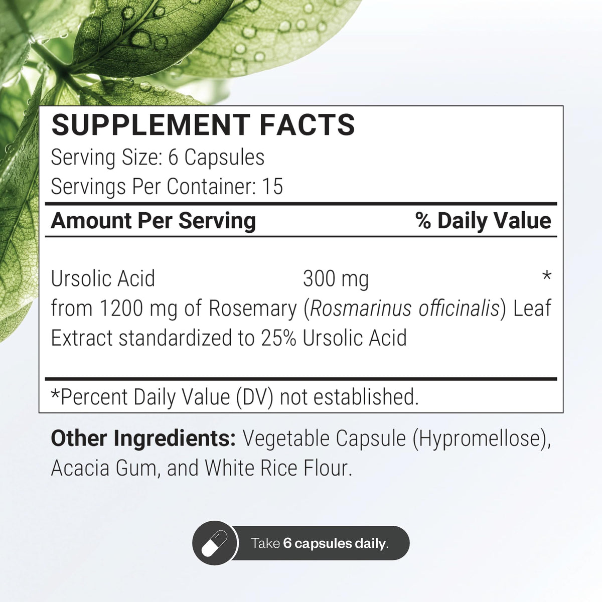 Supersmart Ursolic Acid 300mg Daily Rosemary Leaf Extract - image 3