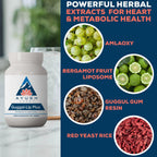 Ayush Herbs Guggal-Lip Plus Metabolic Support - 90 Tablets - image 4
