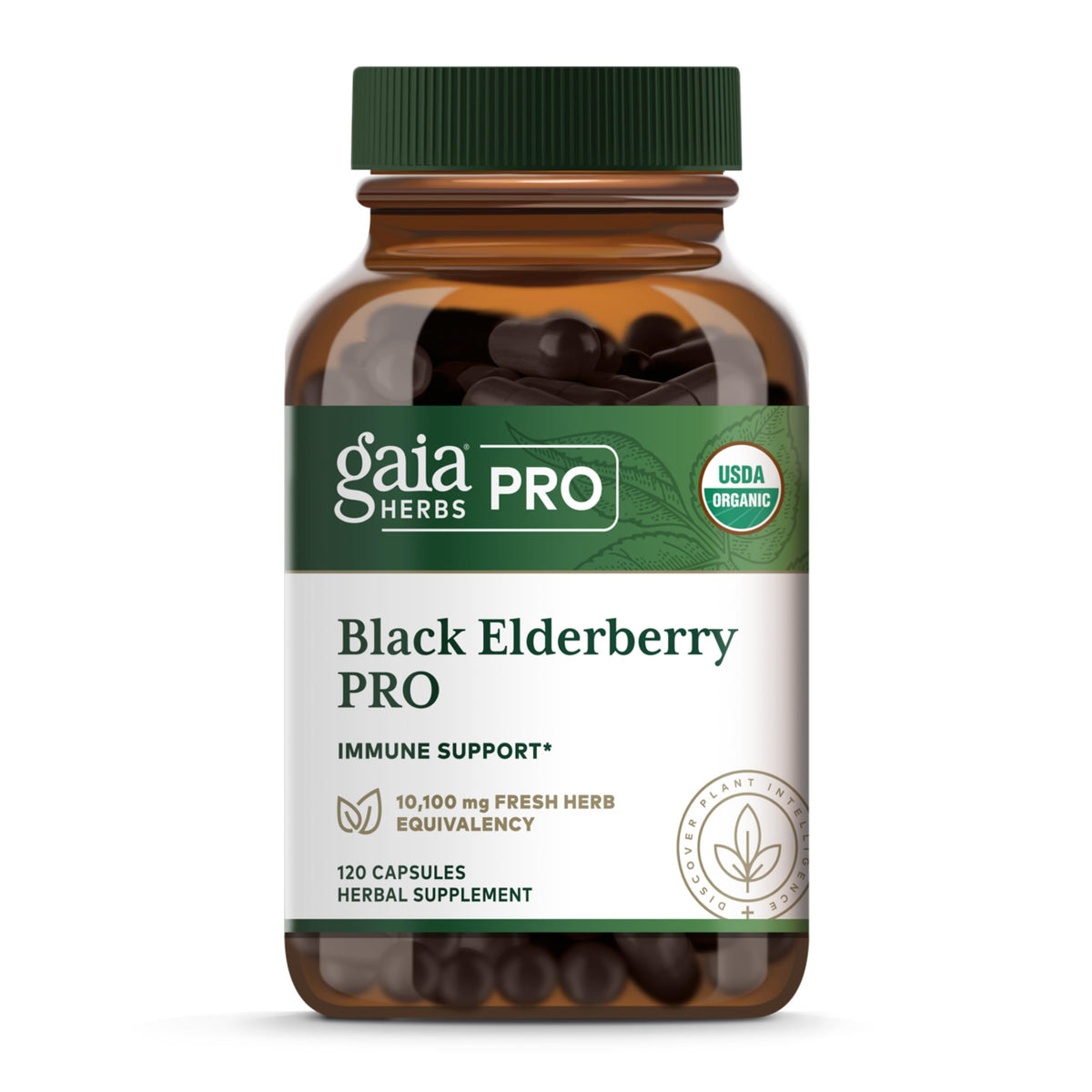 Gaia Herbs PRO Black Elderberry Immune Support - 120 Capsules