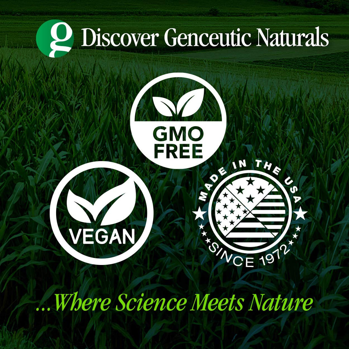 Genceutic Naturals Milk Thistle Organic 350 mg - 60 Capsules - image 4