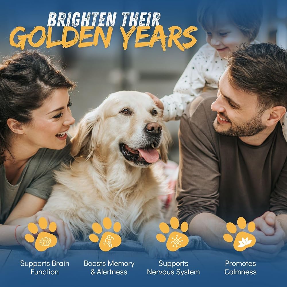 Dr. Fossum's Pet Care CogniCaps Dog Dementia Cognitive Support - 60 Capsules - image 2