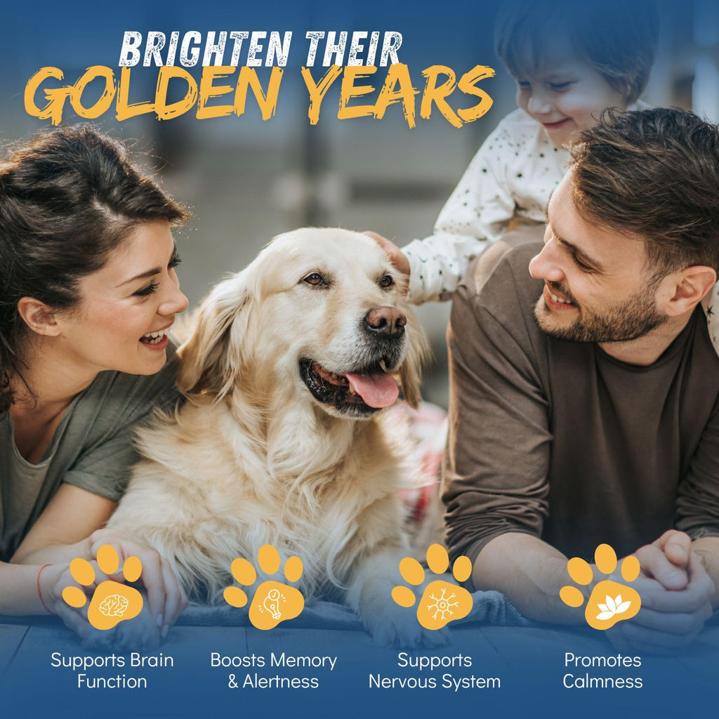 Dr. Fossum's Pet Care CogniCaps Dog Dementia Cognitive Support - 60 Capsules - image 2