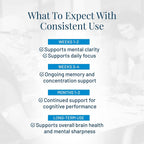 Provasil Brain Supplement for Memory, Focus, Mood & Concentration