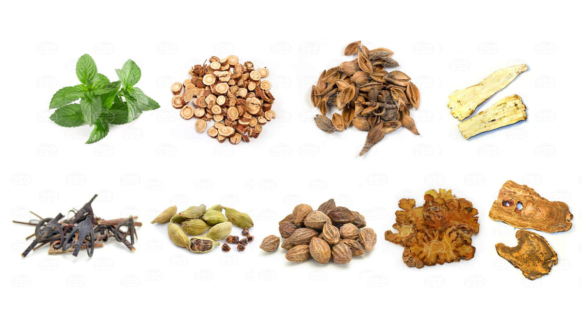 Dragon Herbs Golden Voice Capsules - 100 Capsules - image 2