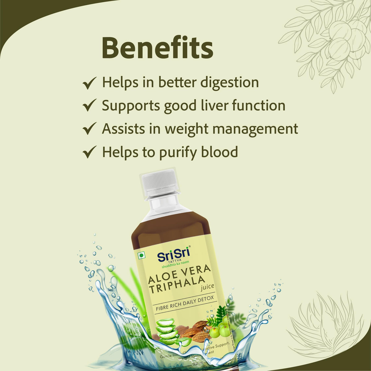 Sri Sri Tattva Aloe Vera Triphala Juice - 2 Pack - image 3