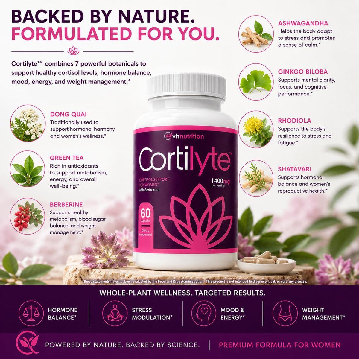 VH Nutrition CortiLyte Ginkgo Biloba Brain Support - 60 Capsules - image 4