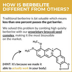 BrocElite Mara Labs BerbElite