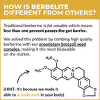 BrocElite BerbElite Berberine HCL with Broccoli Seed Complex - 60 Capsules - image 6