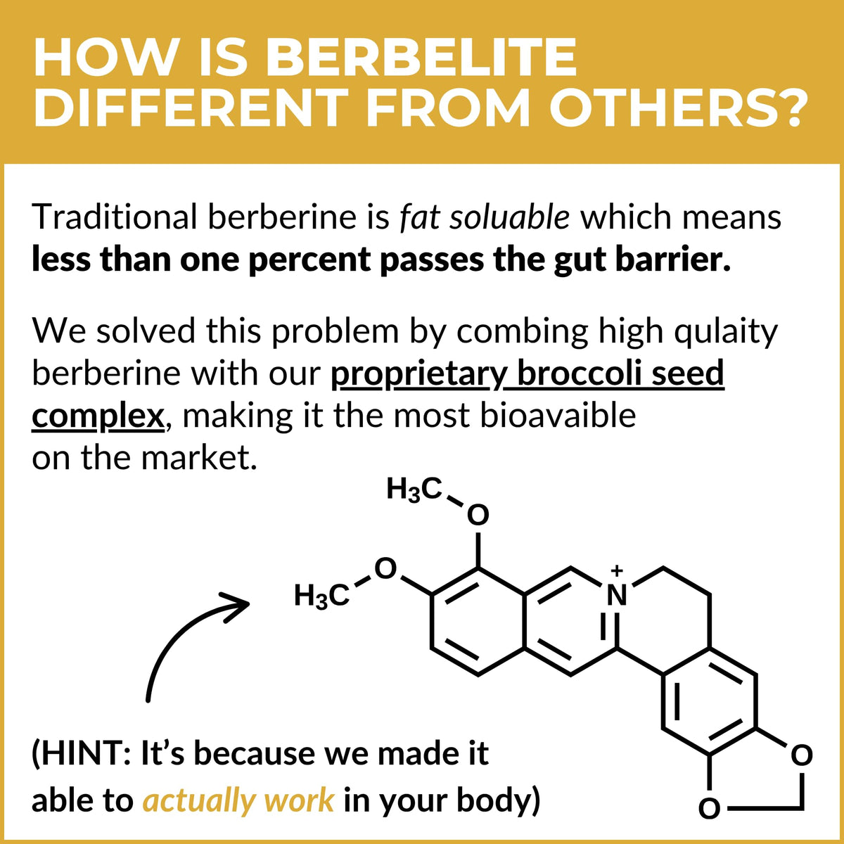 BrocElite BerbElite Berberine HCL with Broccoli Seed Complex - 60 Capsules - image 6
