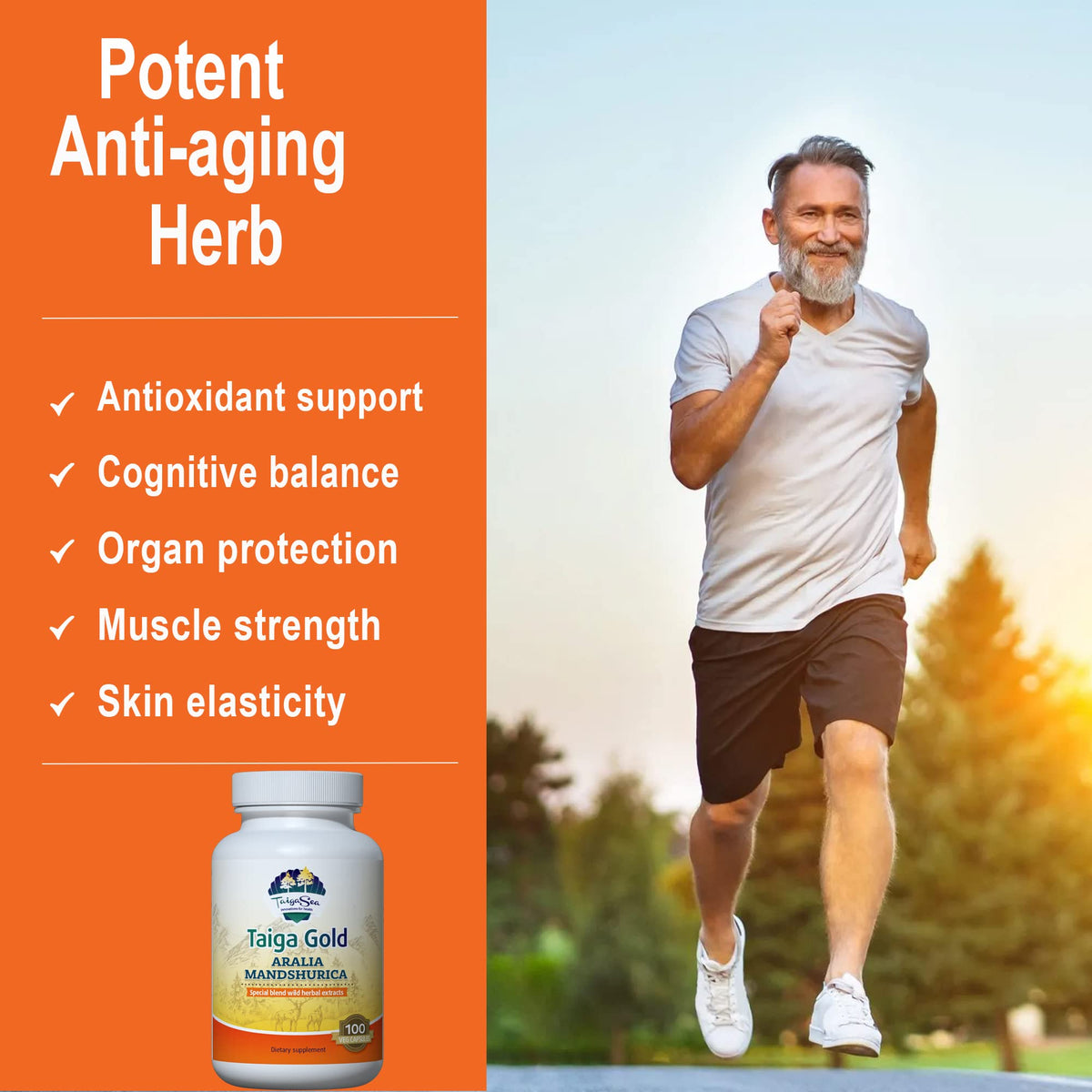 TAIGASEA Aralia Mandshurica Herbal Extract - 120 Vegetarian Capsules - image 3