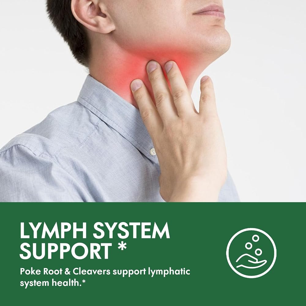 Selvaherb Poke Root Lymphatic Drainage Drops - 2 Fl Oz - image 2