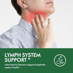 Selvaherb Poke Root Lymphatic Drainage Drops - 2 Fl Oz - image 2
