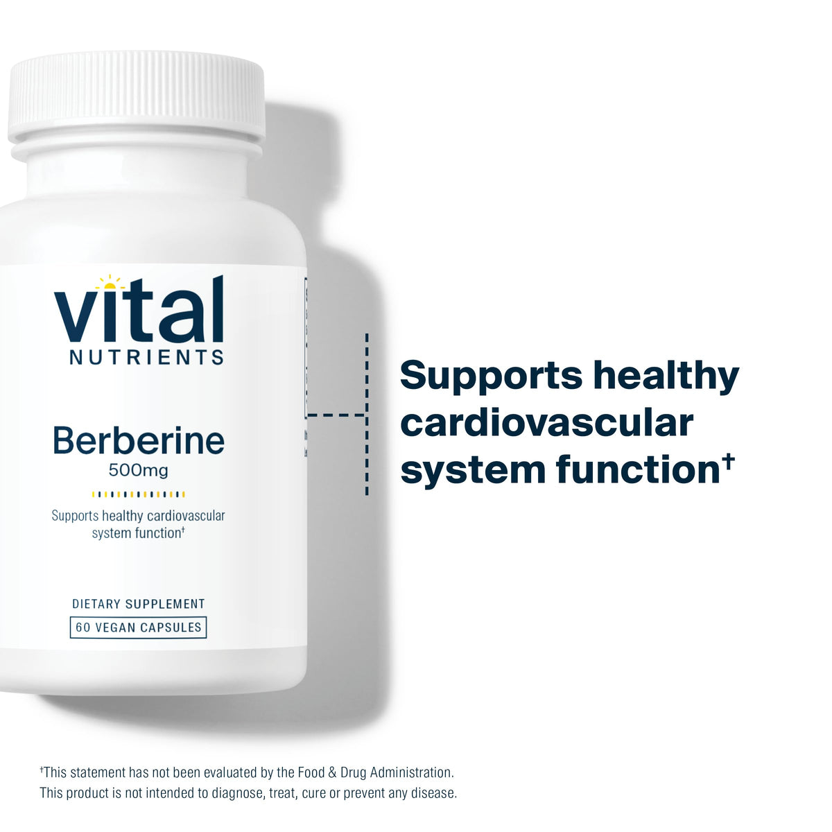 Vital Nutrients Berberine 500 mg Vegan - 60 Capsules - image 6