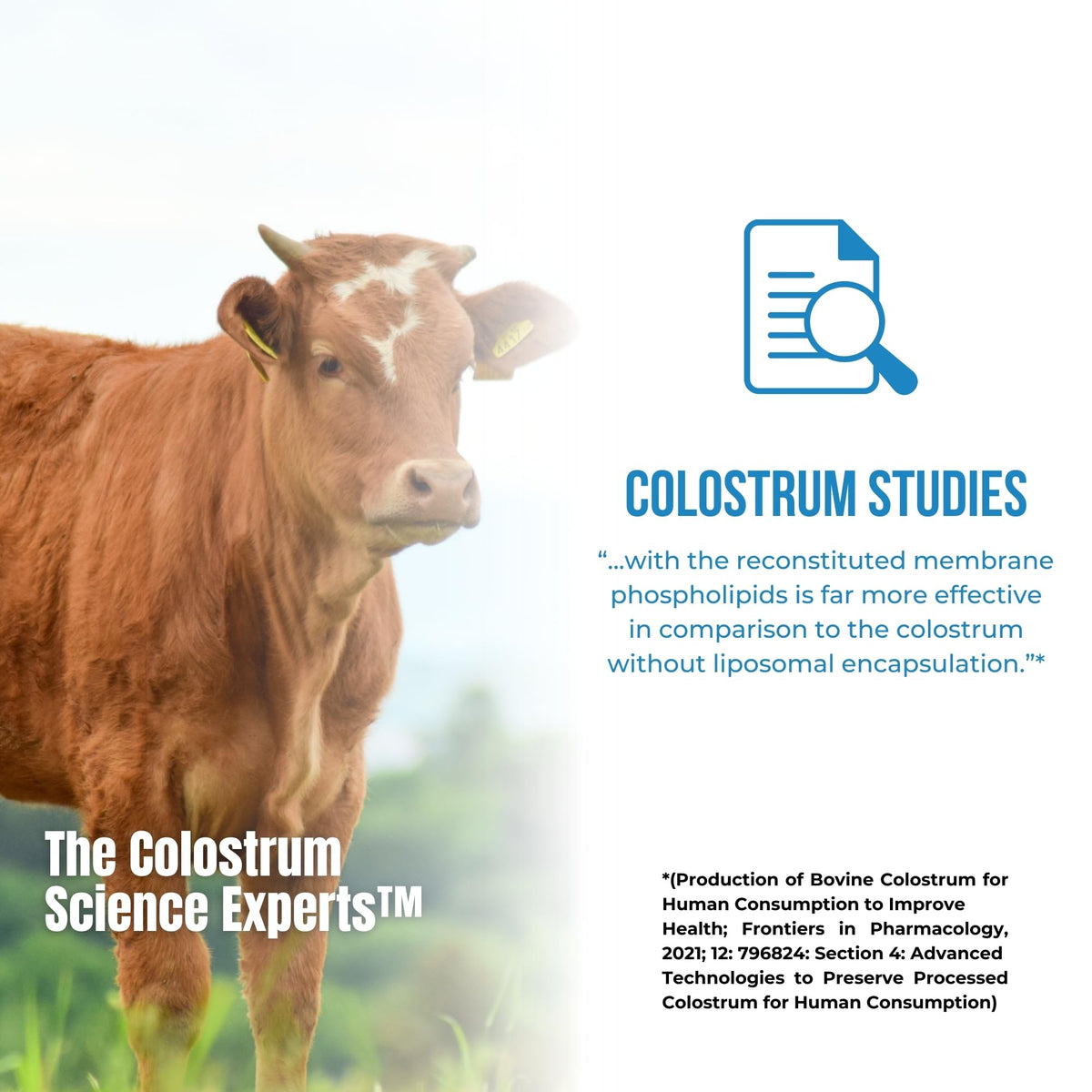 Colostrum-LD Liposomal Delivery Colostrum Powder - 68 Servings - image 5