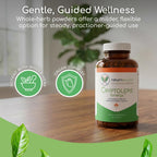 Return Healthy Cryptolepis Synergy Immune Support - 120 Capsules - image 3