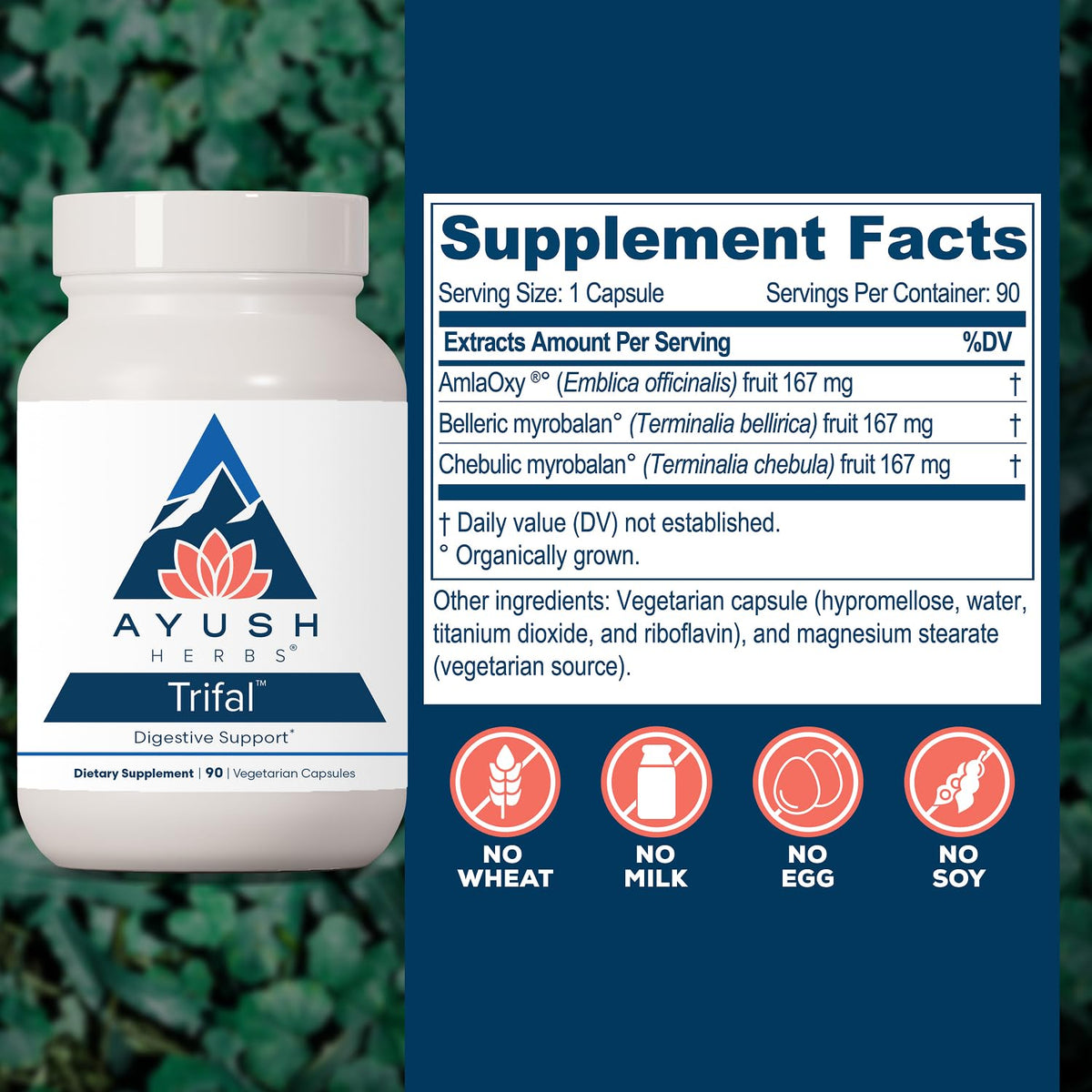 Ayush Herbs Trifal Digestive Support with Amla - 90 Capsules - image 3