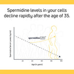 LONGEVITY LABS + spermidineLIFE Supplement - 60 Capsules - image 7