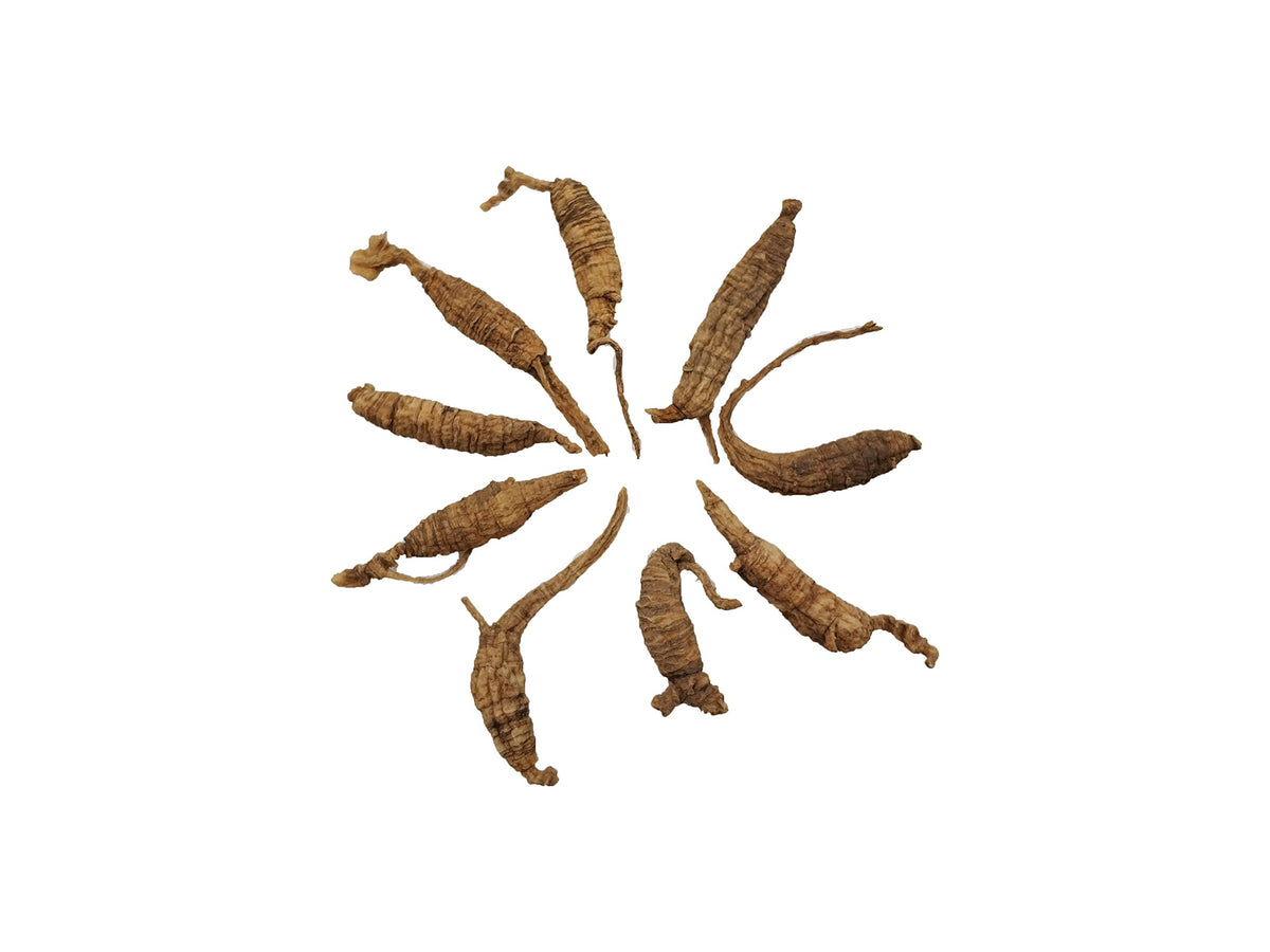 Yu Wei Genuine American Wild Ginseng Short Small - 4g