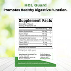 Healthy Gut HCL Guard Protein Digestion Support - 120 Capsules - image 2