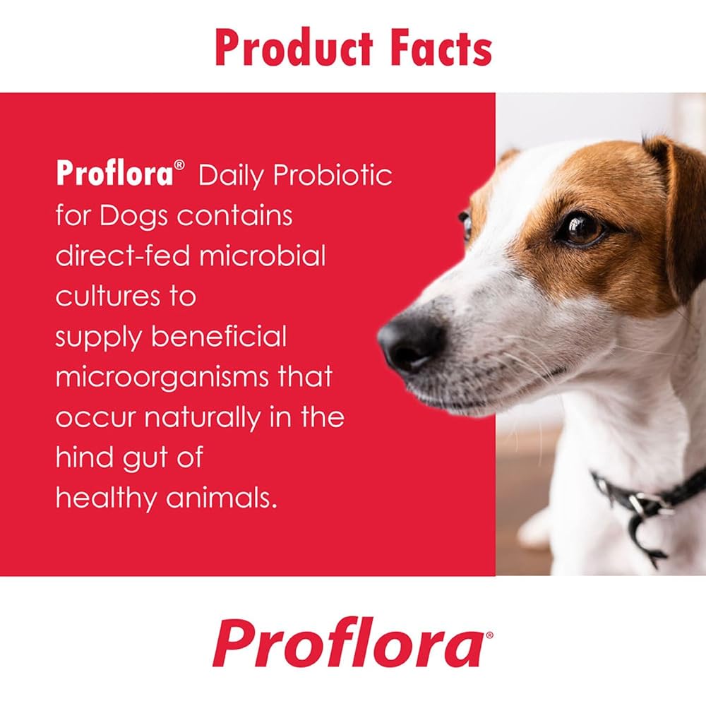 Proflora Probiotic Soft Chews for Dogs - 180 Soft Chews - image 5