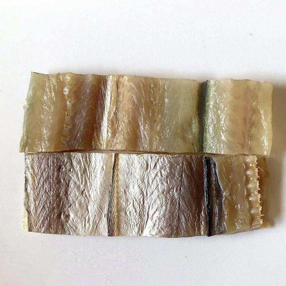 CHEWYZ Dried EEL Dried EEL Snack Dried Seafood
